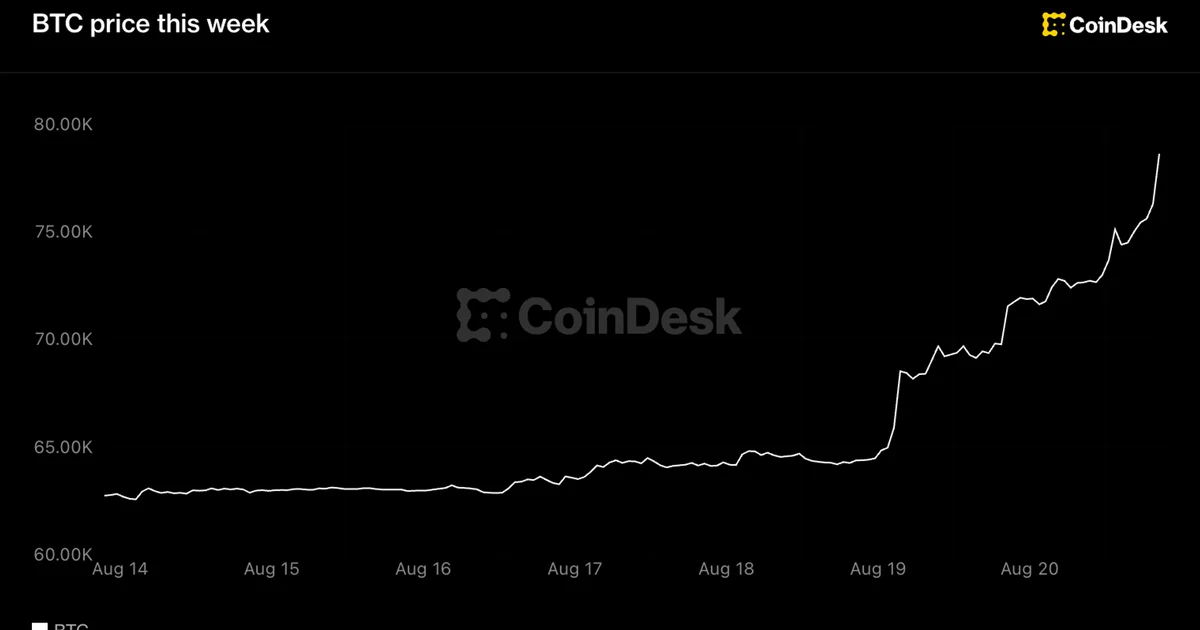 Bitcoin frôle 80 000 dollars : derrière le rebond, 3 milliards de shorts liquidés et le Trésor américain